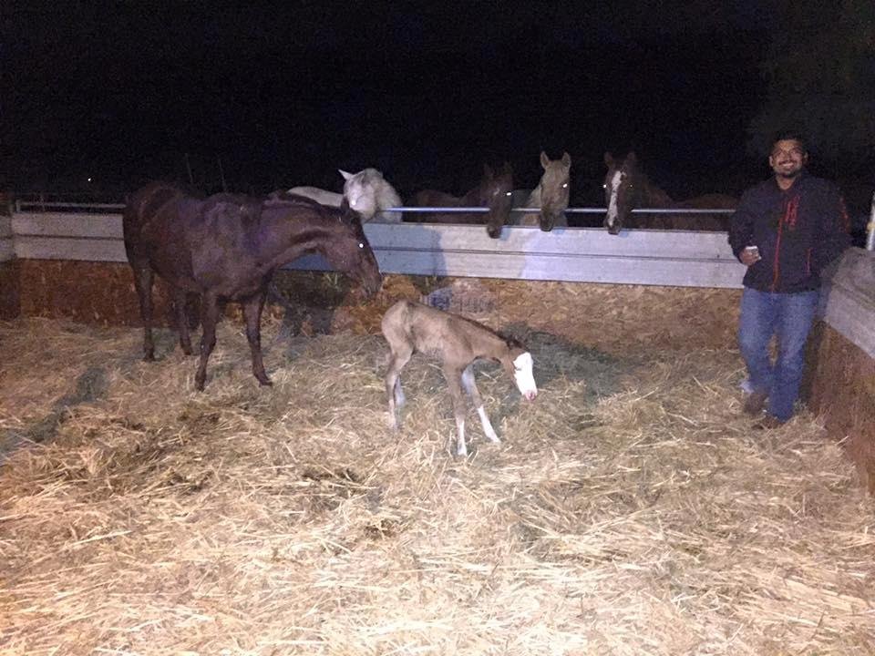 She's here just in time for Valentines Day! Look at Luis, he's so proud! Lol. Chicken wasn't too happy about the on lookers, good mama!