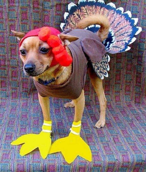Happy Turkey Day Too All Of My Girls Autumn,Amber,Megan and Michelle I love you all and too the rest of my family happy turkey day.!!!!