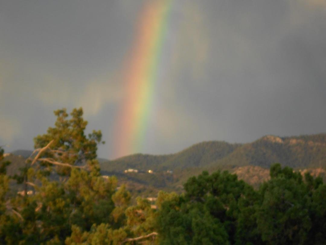 Something beautiful from our short-lived rain!