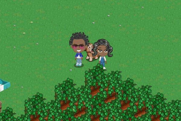 Reggie Auls' album, FarmVille Photos