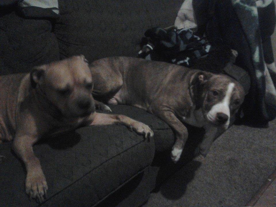 Tasha and Petey