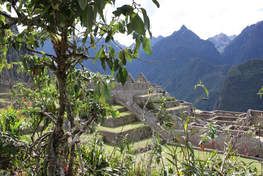 Machu Picchu