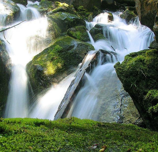 Silver Falls outside Entiat, WA. A truly inspiring and beautiful place. Day 5 of 7 of Nature's Beauty.