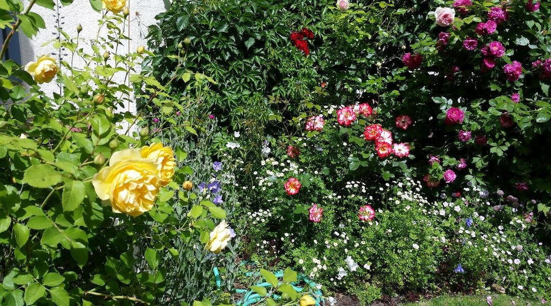 John Downes' album, Timeline Photos