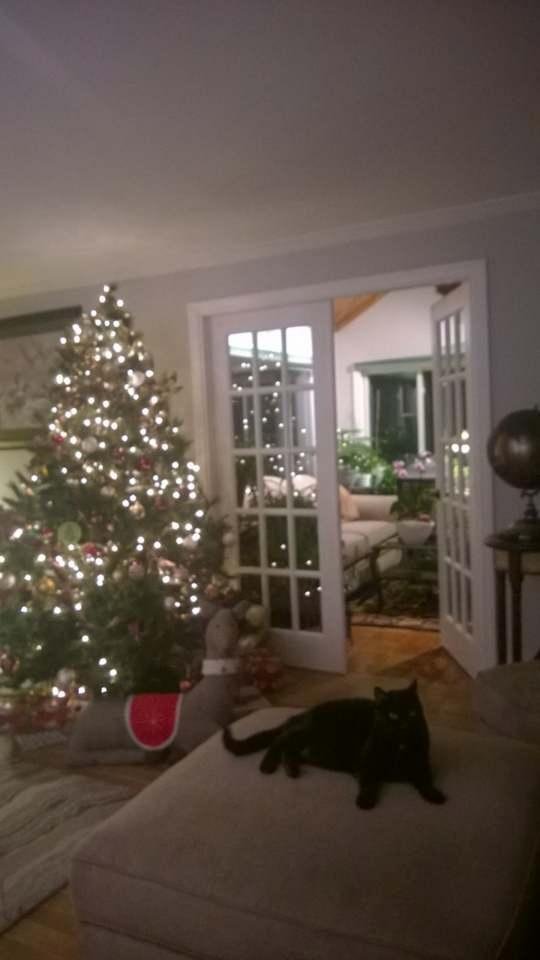 Dexter wishes you a very Merry Christmas