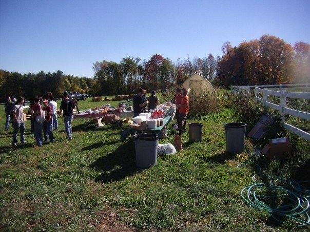 Maynard Clark's album, Maple Farm Animal Sanctuary