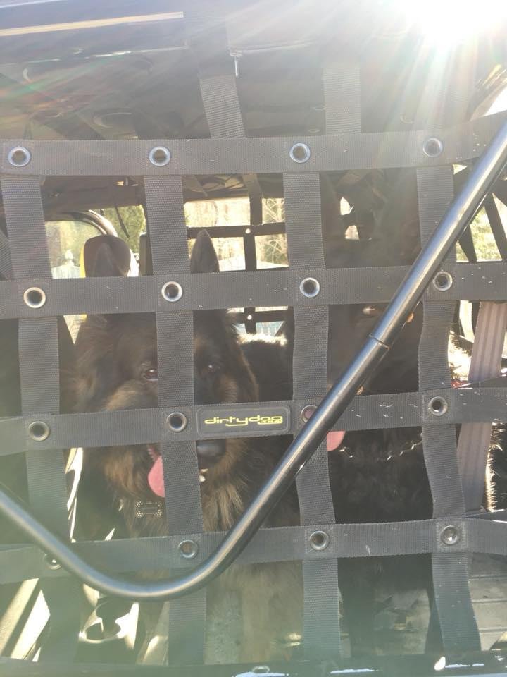 Going to playcare and it’s warm enough to have the sides of the Jeep off. They are very excited.