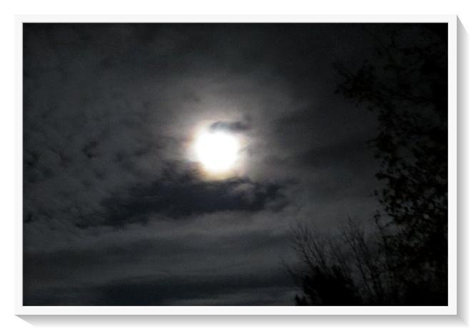 Bruce MOTT's album, Timeline Photos
