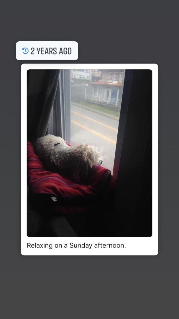 Michael Hall's album, Mobile Uploads
