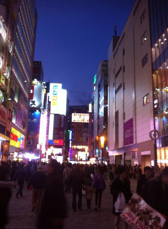 Anja Stensholt's album, Mobile Uploads