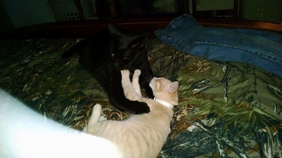 Playtime