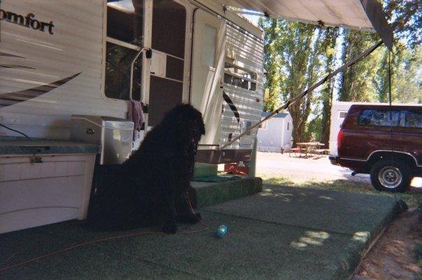 Dylan
