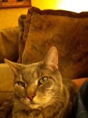 Harold Gary's album, Timeline Photos