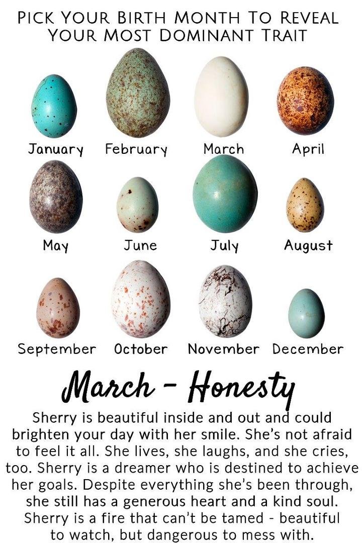 Sherry Sinard's album, Timeline Photos