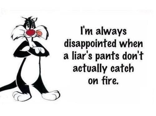 Steve Armstrong's album, Timeline Photos