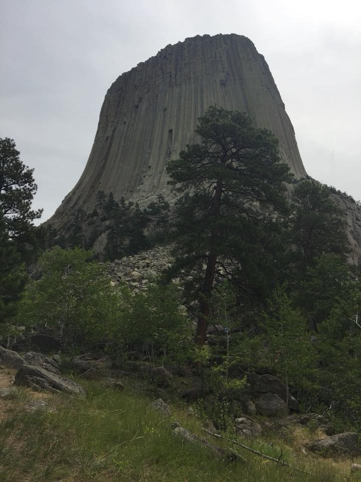 Mike Jerman's album, Mobile Uploads
