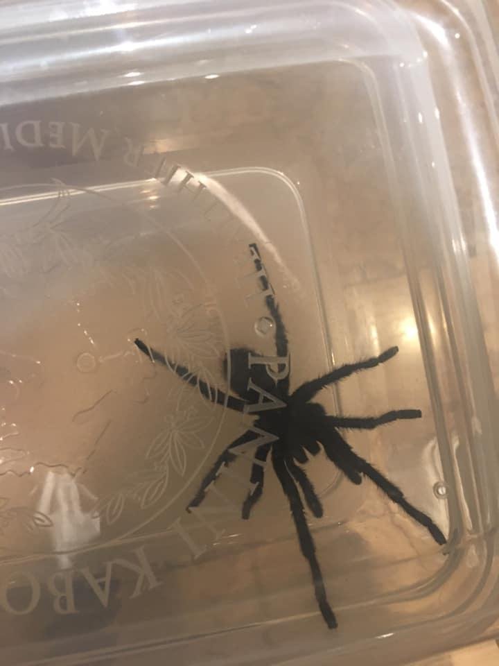 This was walking in the backyard on a mission
Door was open...