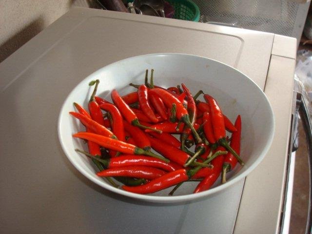 good for 6 to 8 meals, Thai style