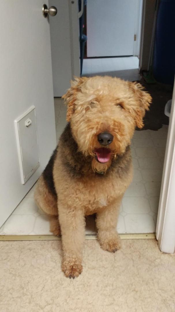 Katherine Harris' album, Mobile uploads