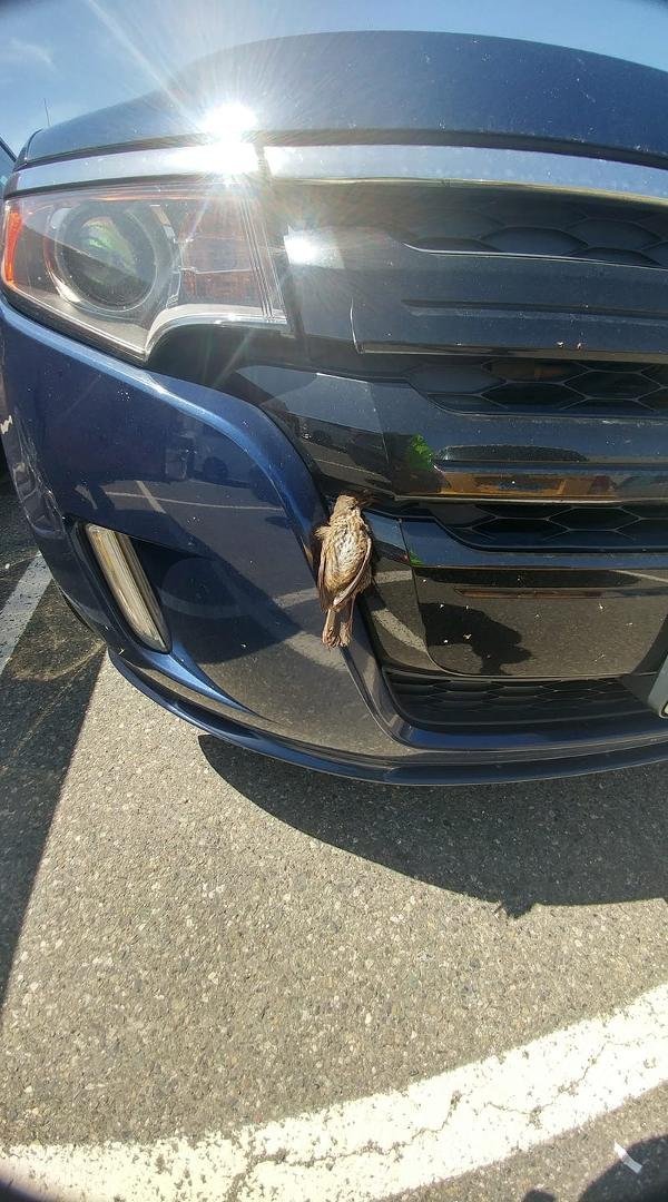 Dammit another bug in my grill what's going on c'mon