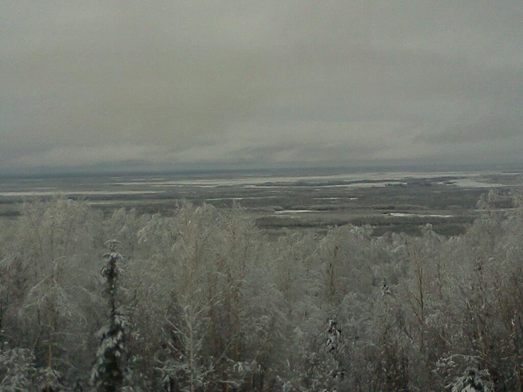 Alaska is a great big desert. Frozen one