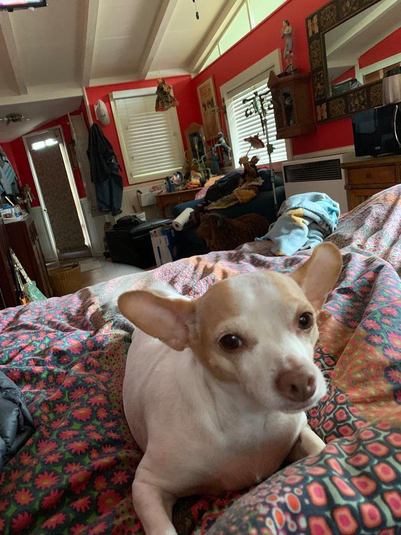 Alice also wanted to say hi