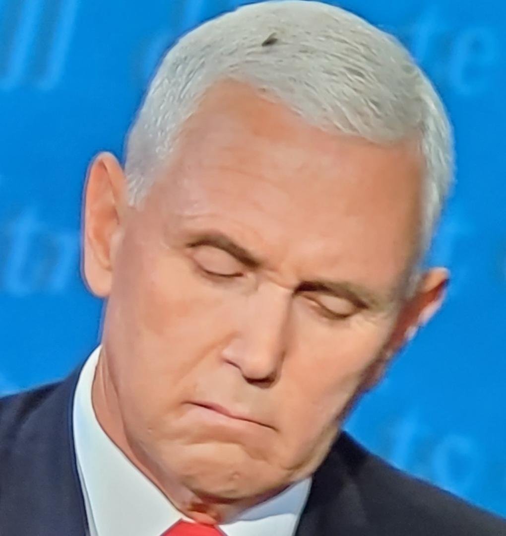 Listening to the vice presidential debate.... I don't think I was the only one to think that Pence was full of s***... The fly knows! 😃