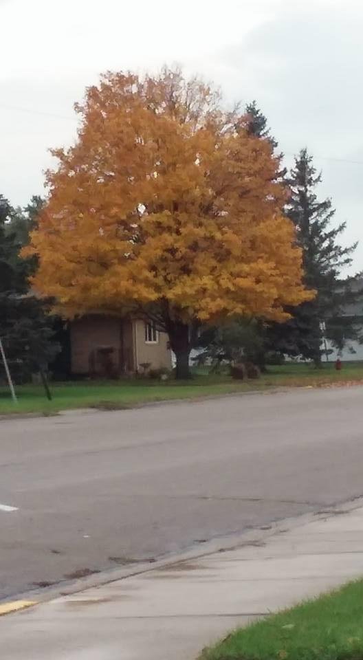 Fall has came to Perham MN
