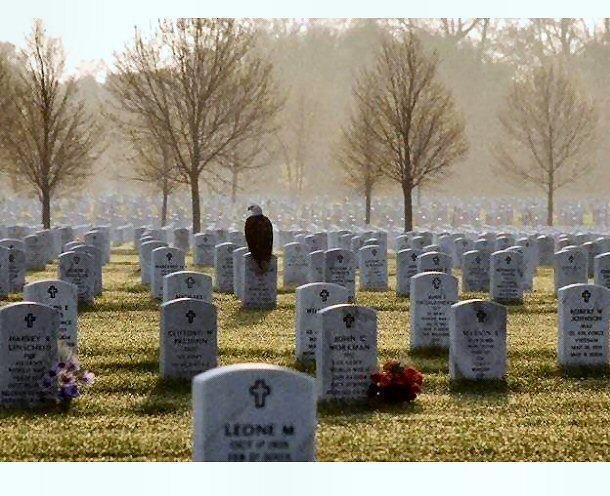 Thnks to my brother Len! I had to share!
Standing Guard...