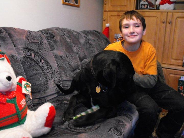 William Winkle's album, Dogs