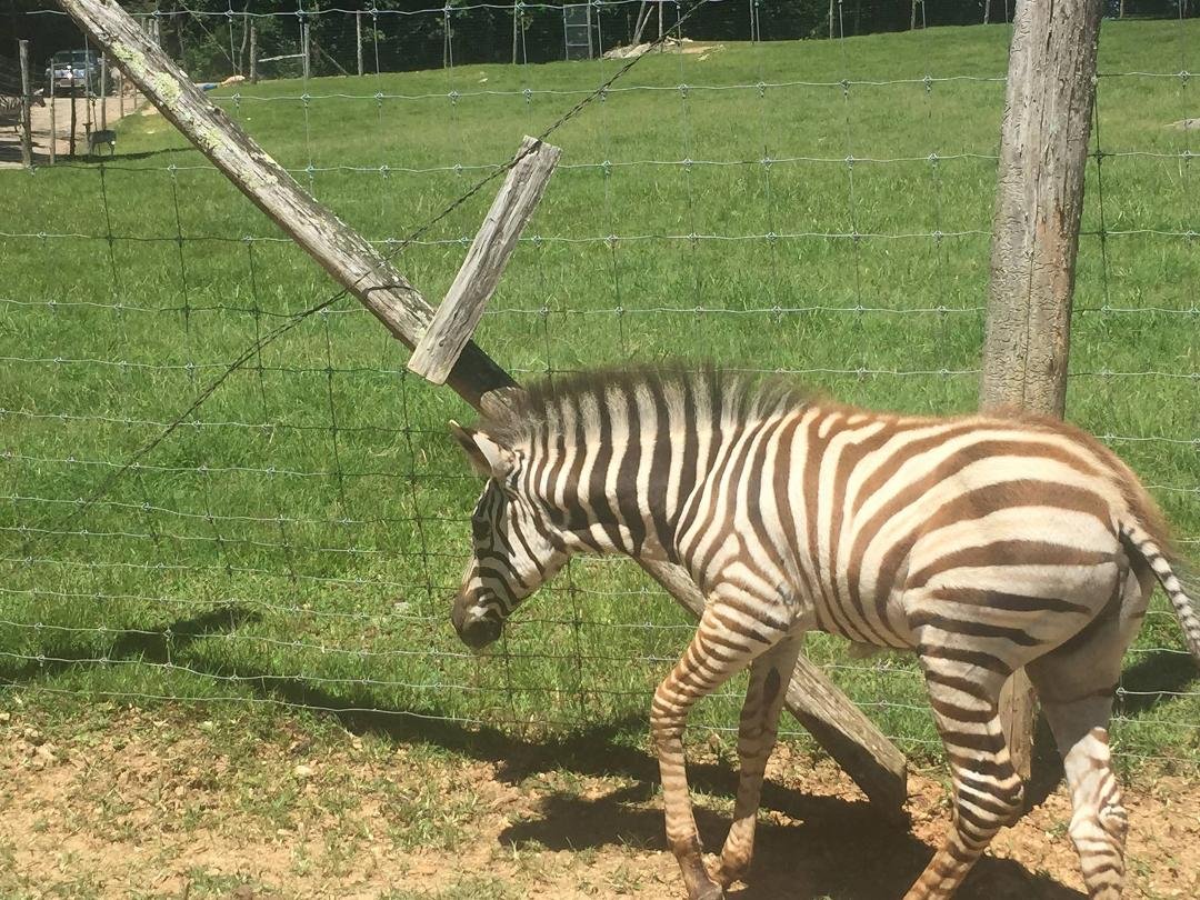 Circle G Ranch