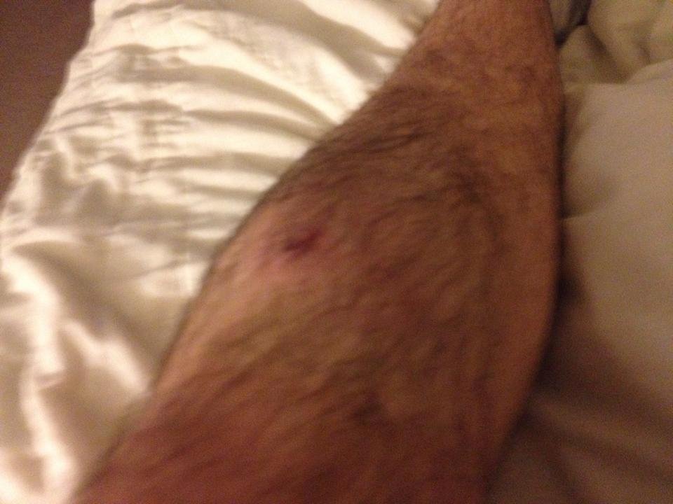 Matt Mullock's album, Mobile Uploads