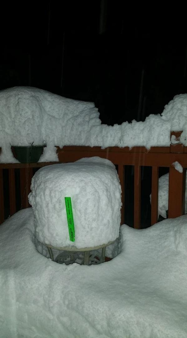 18 + inches on the table out on our deck!!!