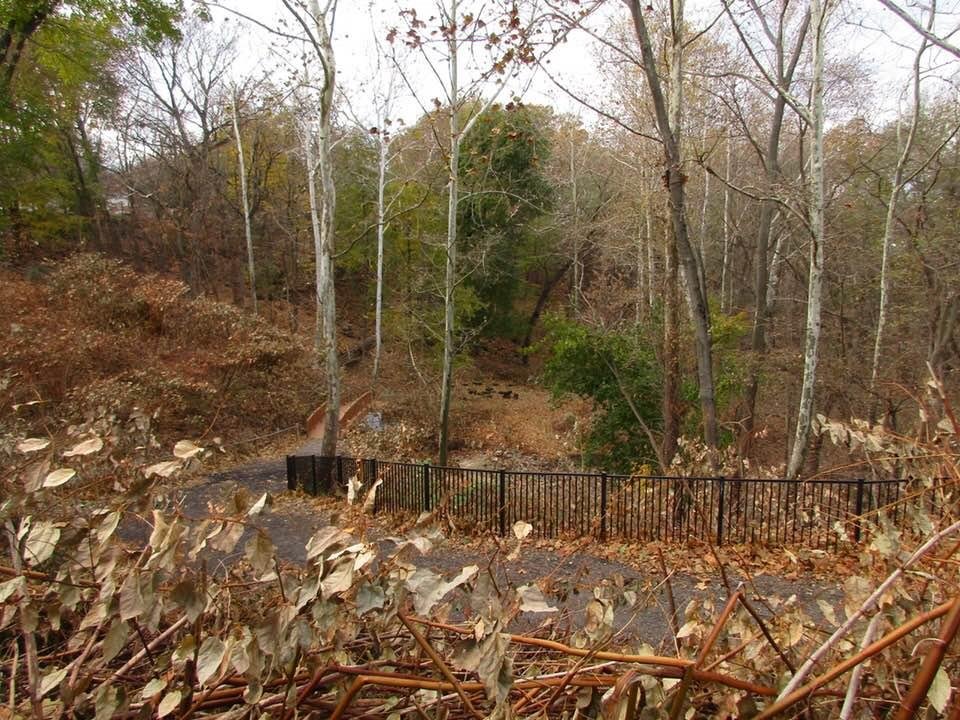 Little Falls,New Jersey the day before Thanksgiving