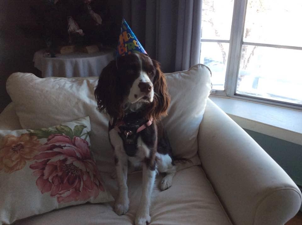 Gladys Kravitz one year old