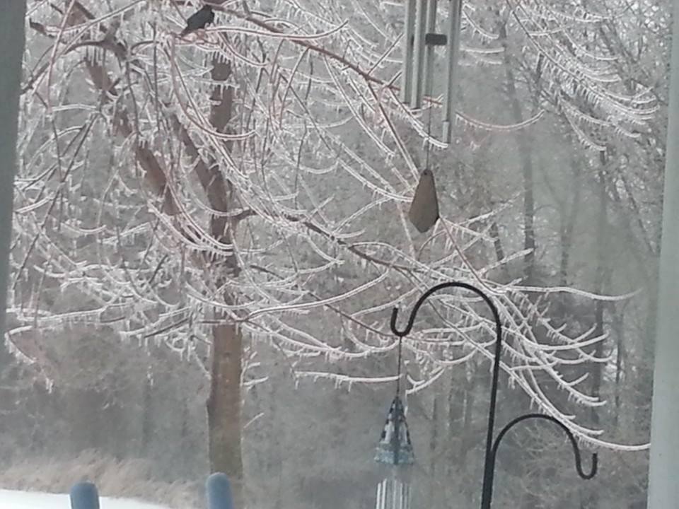 Pretty but I'll be glad when it's gone.