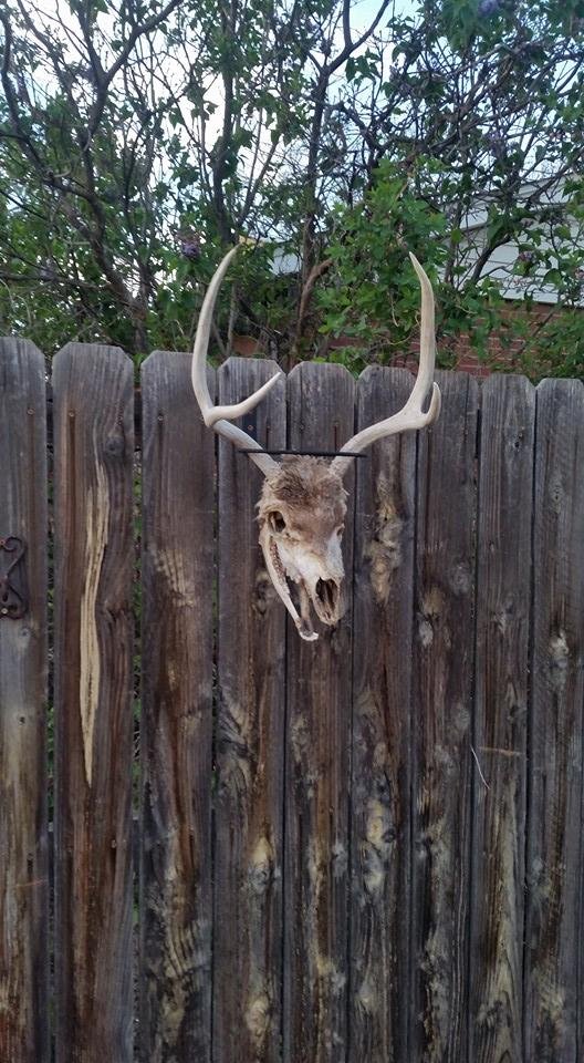 Vince's newest addition to our wall.  I think it looks like a demented zombie.  But I like it.