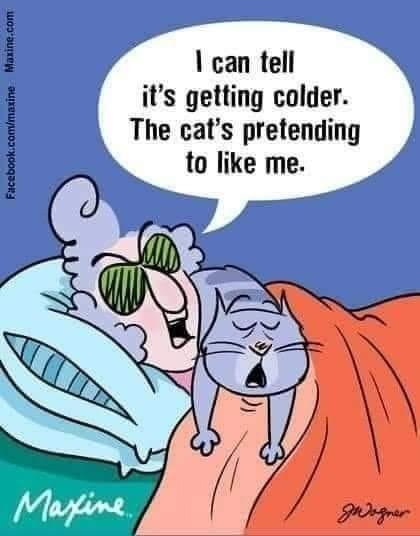 Gail Klein's album, Timeline photos