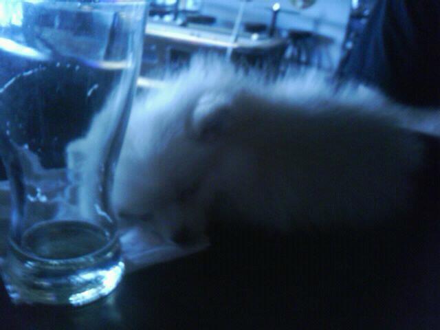 Too much to drink lol