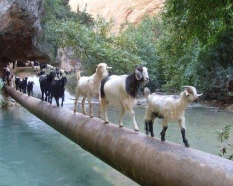 Now, where did you say we are going?