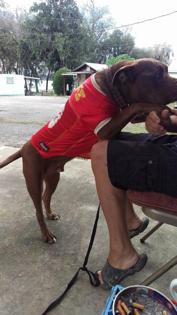 Taken a while back but he knows who's best!!
Go Chiefs!!