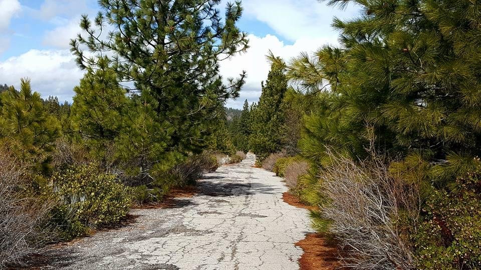 Steve Mitchell's album, Timeline Photos