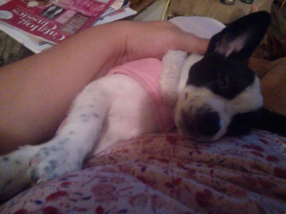 Cher Bender show mom this baby her name is Piper :)