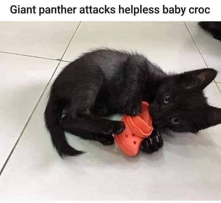 Too cute!