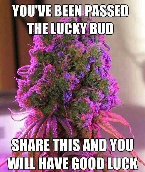 Thank you jerry how'd you know what I wanted.