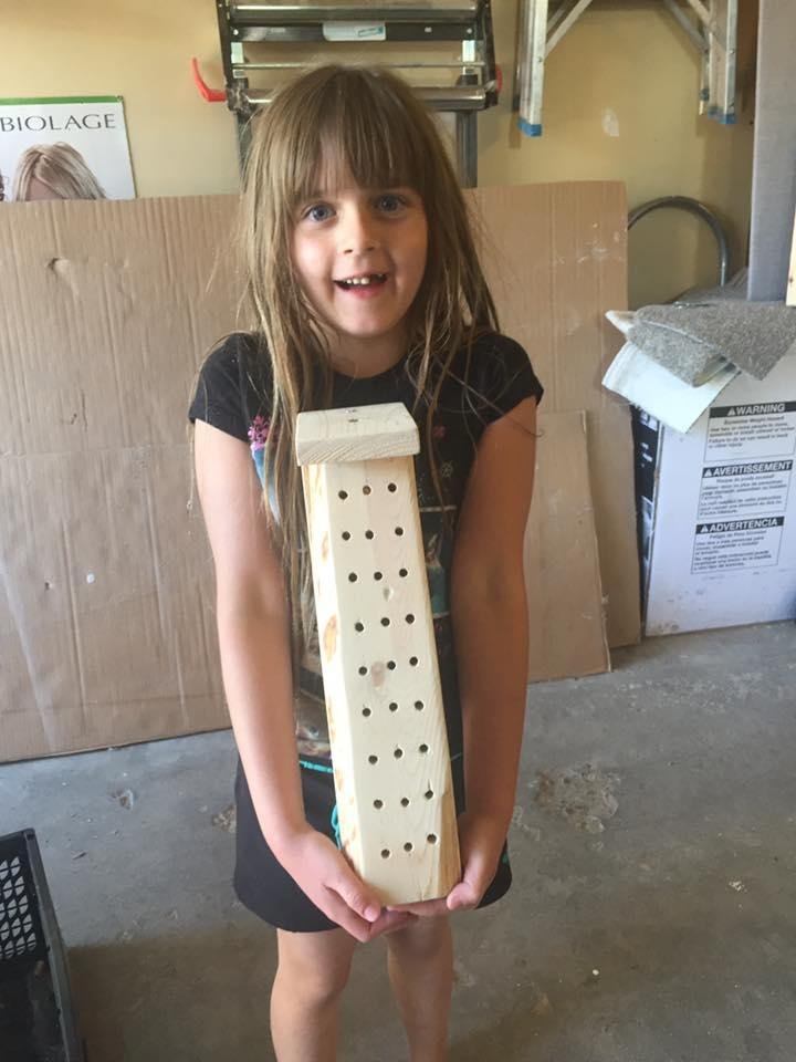 BEE CONDOS are a great way to help bees survive too.
They also make good family projects and excellent opportunities to teach our children and grandchildren about the necessity to help after we have caused the problems, di
