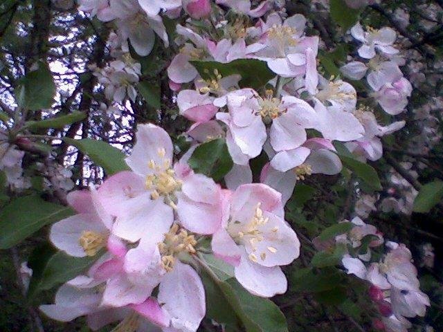 Rita Finazzo's album, Timeline Photos