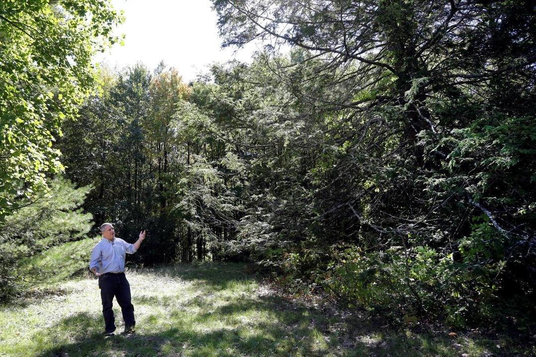 http://a.msn.com/r/2/BBxMbnM?m=en-us&ocid=NewsPetersham, MA Forest
