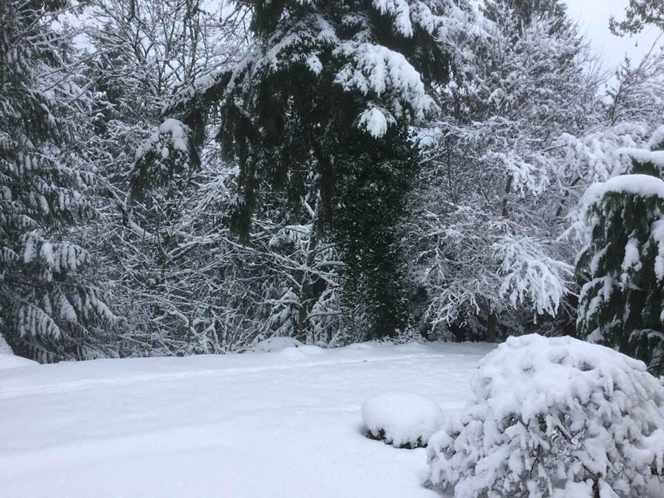 Out our back door looking toward the green belt.  6 to 8 inches of beautiful fluff