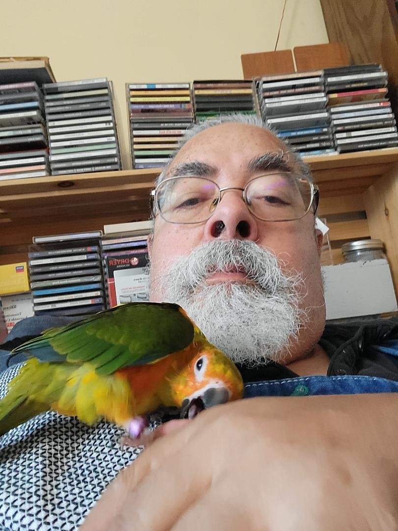 Tiny dinosaur attempting to devour me...